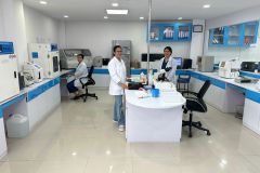 img3 img3