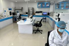 img9 img9
